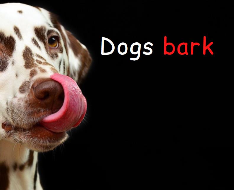 Cute dog licks its nose, text dogs barks