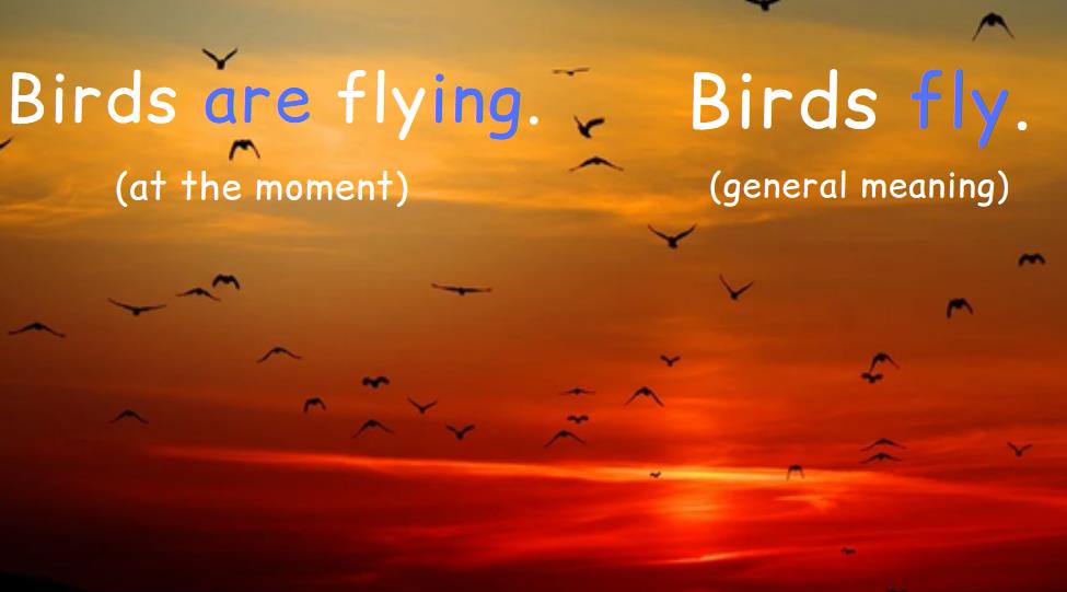 Red sunset, birds are flying, two sentences which show the difference between Present Simple and Present Continuous.