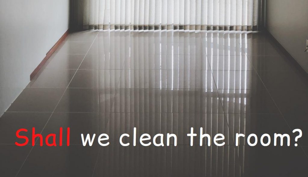 Example of a sentence with the verb shall, the floor of a room, the text shall we clean the room?
Caption: 
